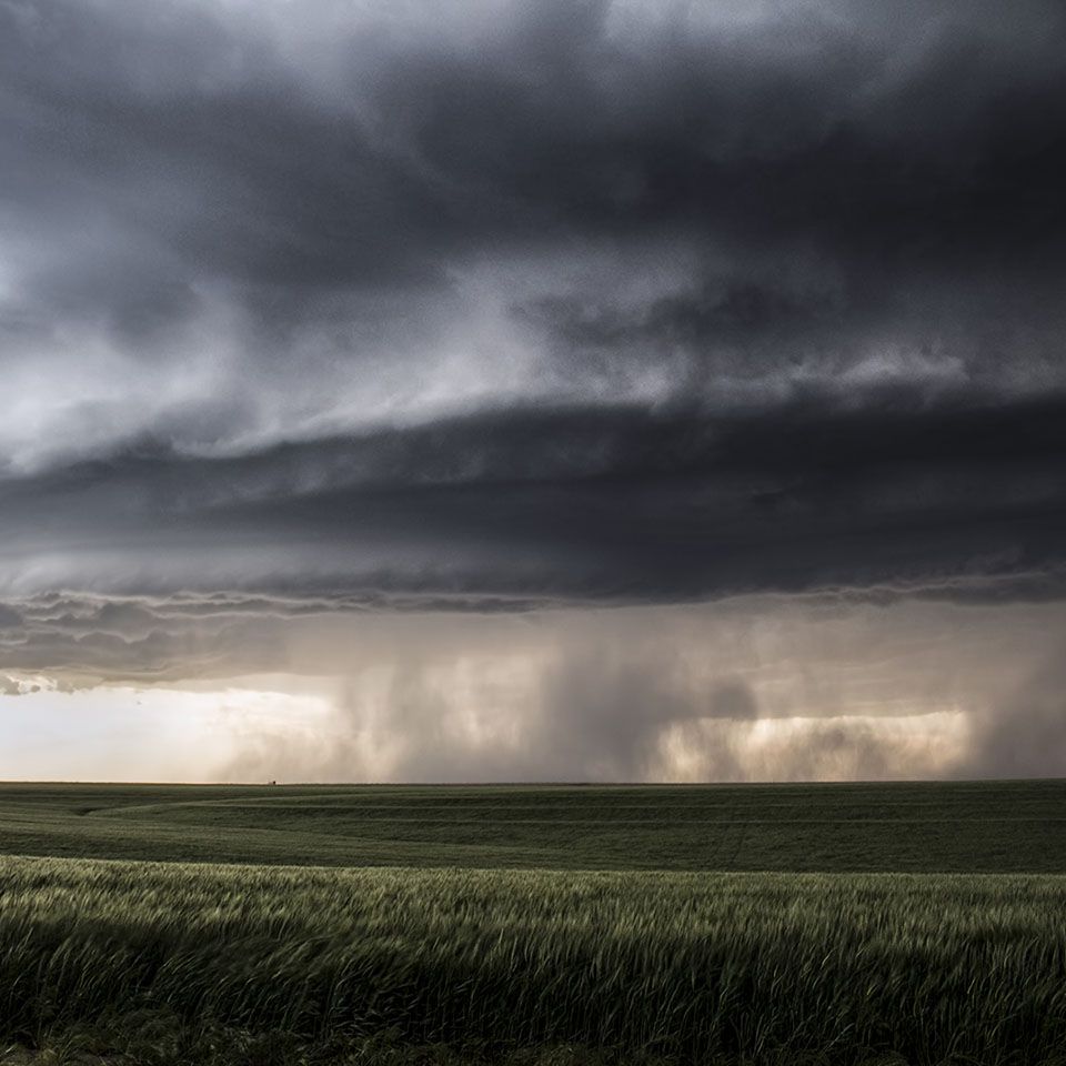 Victime des récentes intempéries (tempête Goretti – neige) ?